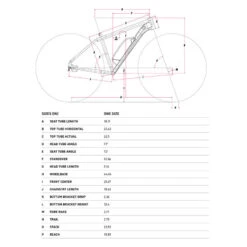 Bmx Gt Power Performer Gris 2021 -Vélorbain Magasin bmx gt power performer gris 2021 5